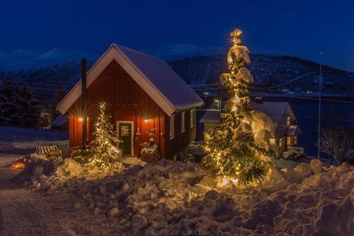Kraemarvika Lodge Tromsø Exterior foto